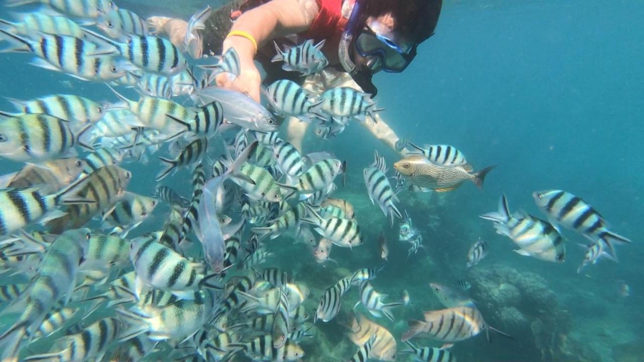 Baan Chan Lay 渡假村 Koh Chang