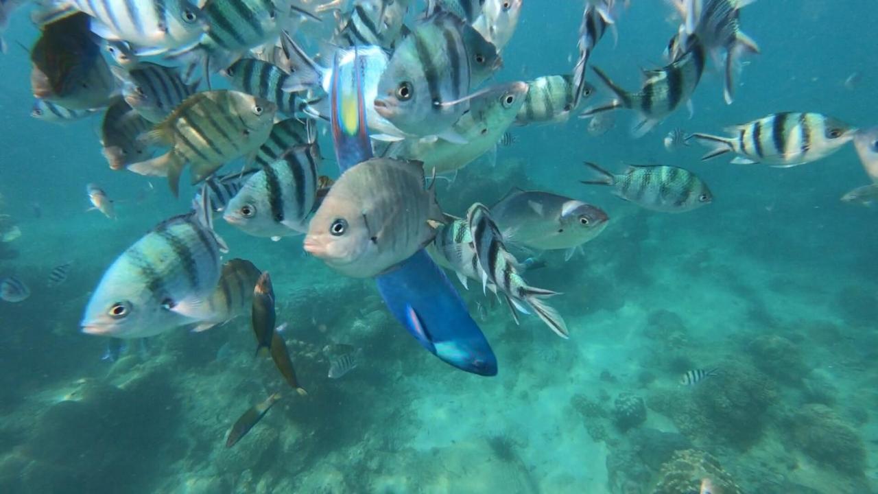 渡假村 Baan Chan Lay Koh Chang